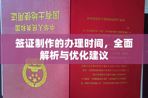 玉井签证制作的办理时间，全面解析与优化建议